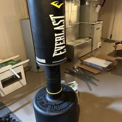 Everlast Powercore Heavy Bag