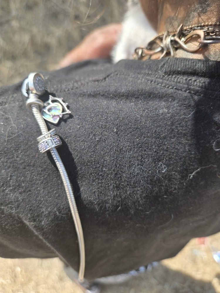 Pandora Bracelet