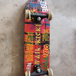 Skate Board 
