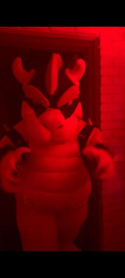 Bowser  Costume  Super Mario