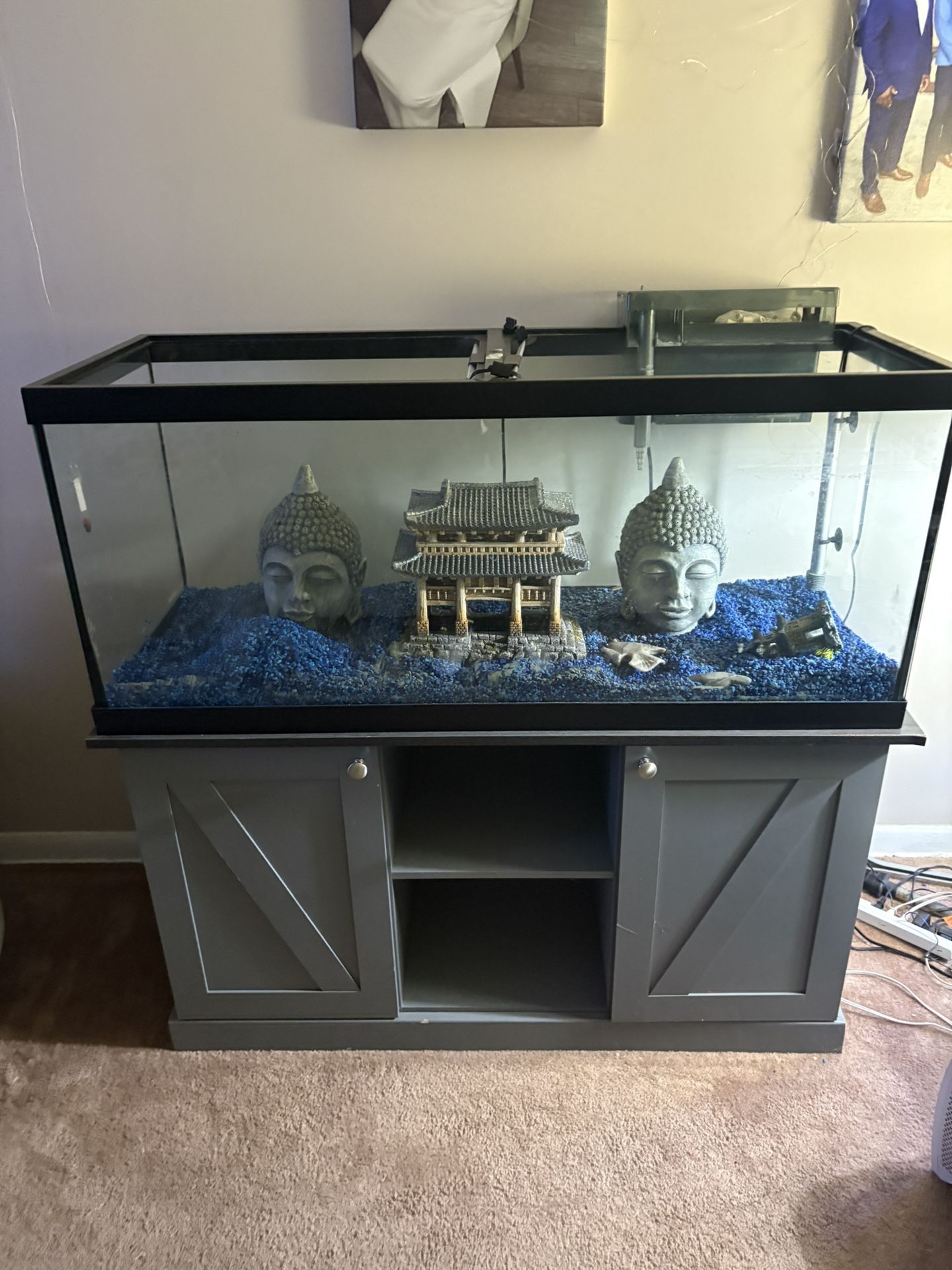 Aquarium, Stand, and all items