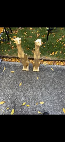 Gold Tigers
