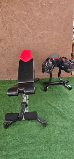 BOWFLEX DUMBELLS SETUP EXCELLENT CONDITION