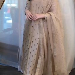 Like new Pakistani sheesha silk suit and soft organza dupatta small