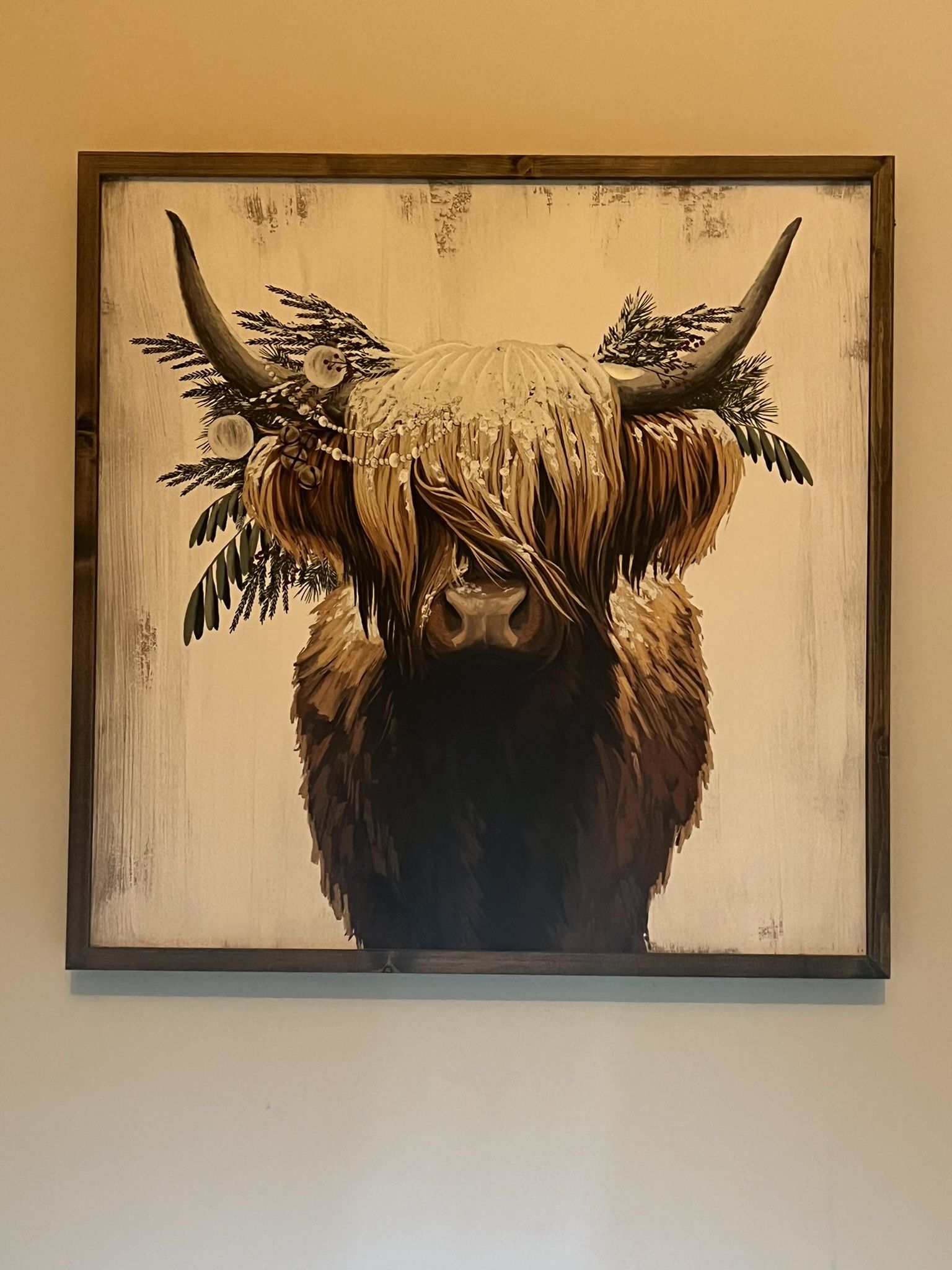 Highland Cow Picture