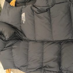 North Fa… Down Vest: $50