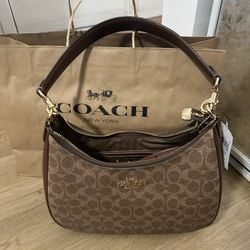 Teri Hobo Bag coach bag