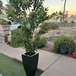 Beautiful Faux Plant