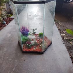 Fish Tank 