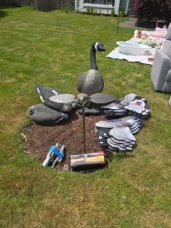Decoys