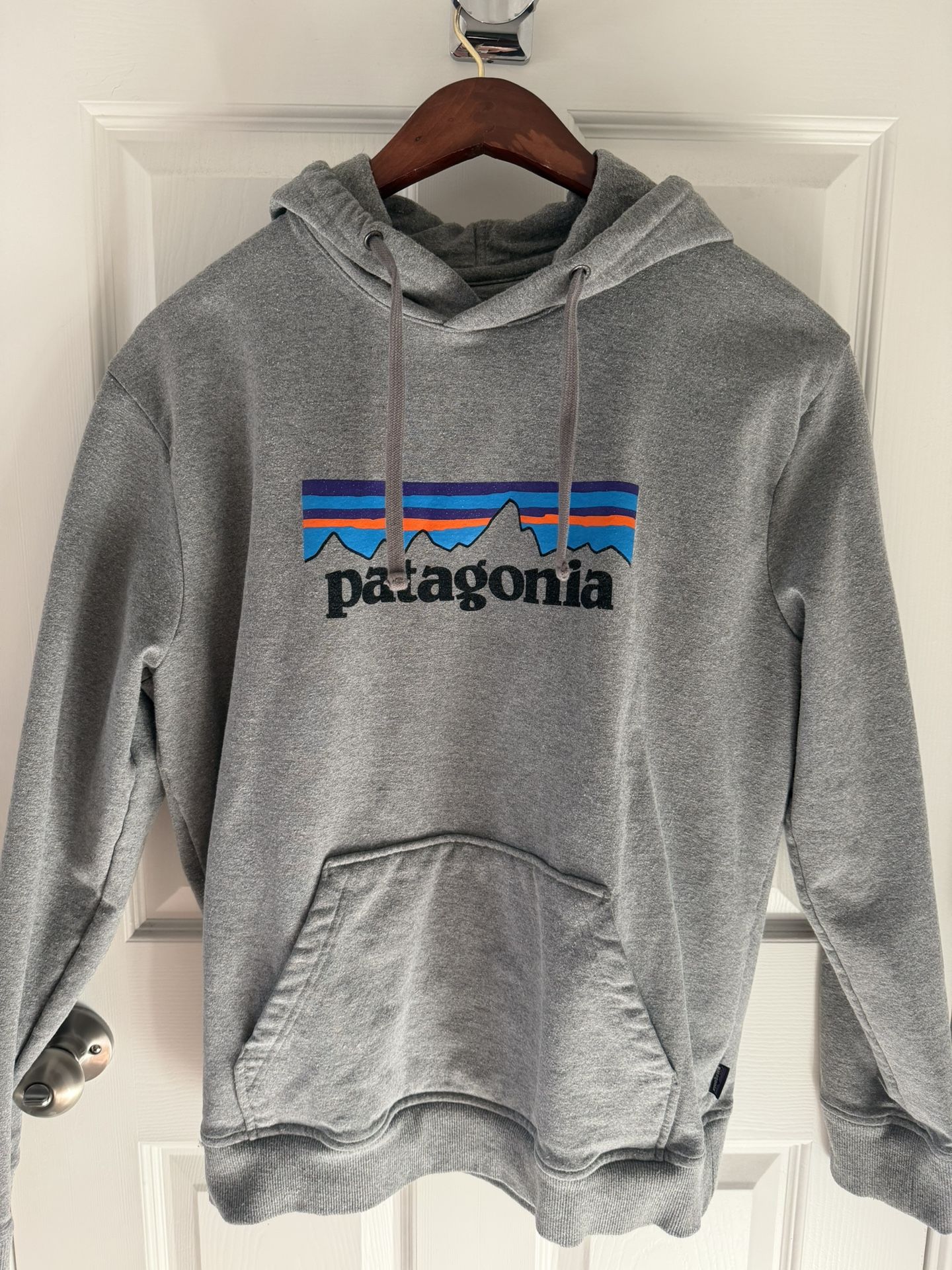 Men’s Patagonia Gray Hoodie