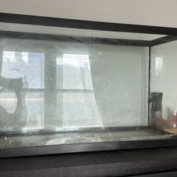 Glass Tank With Accessories 
