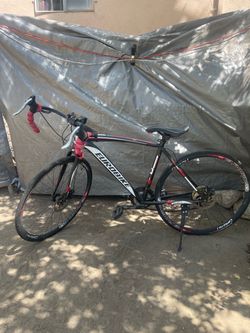 Euro Bike
