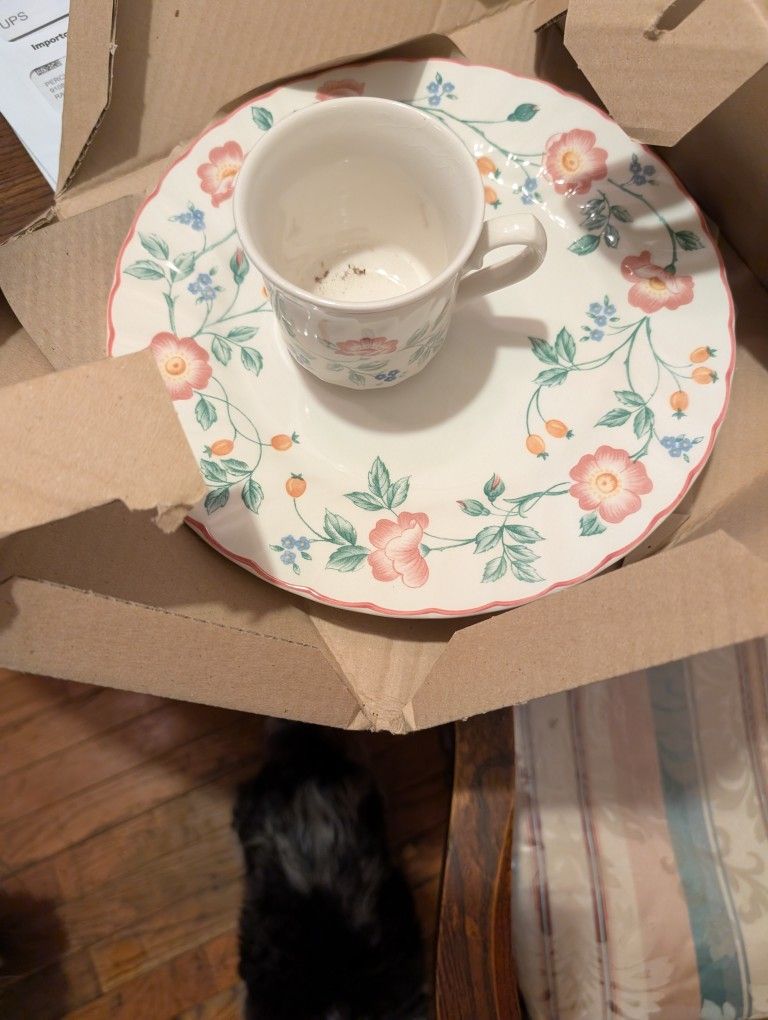 Churchill Dinner Plate And Cup