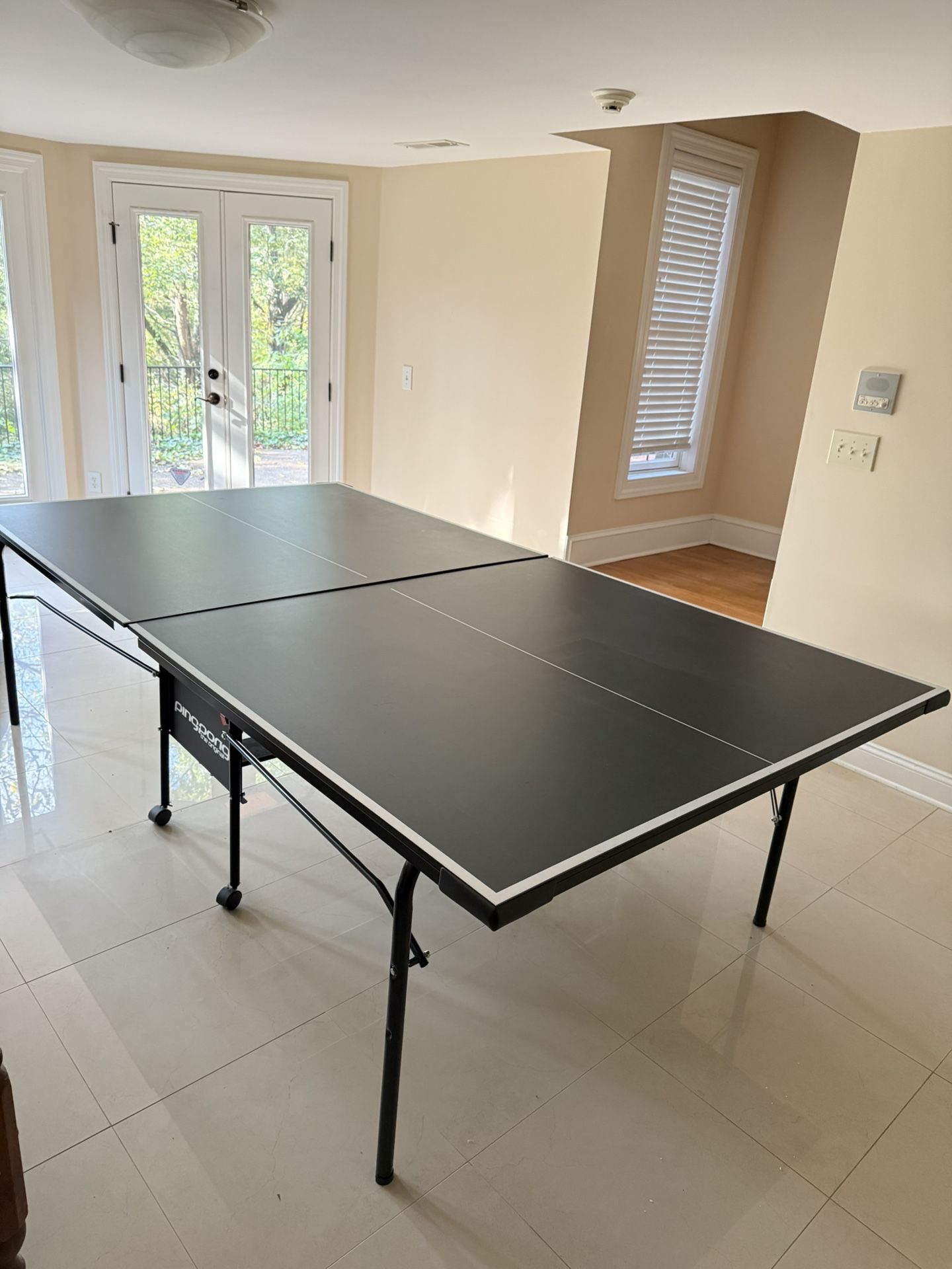 ping pong table