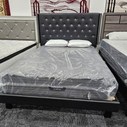 Brand New Black Color Queen Size Bed Frame Only