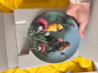 Fine China collector plate