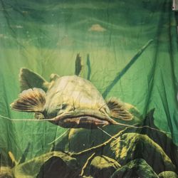 Flathead Catfish Shower Curtain 