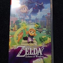 Zelda Echoes Of Wisdom 