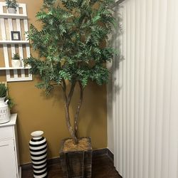 Fake Plant