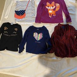 5T Toddler Girl Shirts 
