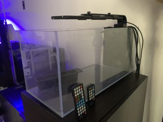 Saltwater Aquarium