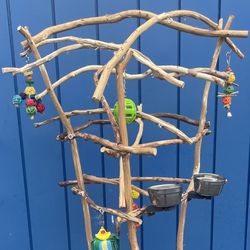 African Grey- Amazon Parrot Perch Tree.., All Natural And Custom Made… Hard Durable Ribbon Wood 🪵 Lasts For Years ! 