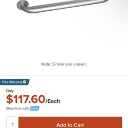Stainless steel security grab bar
