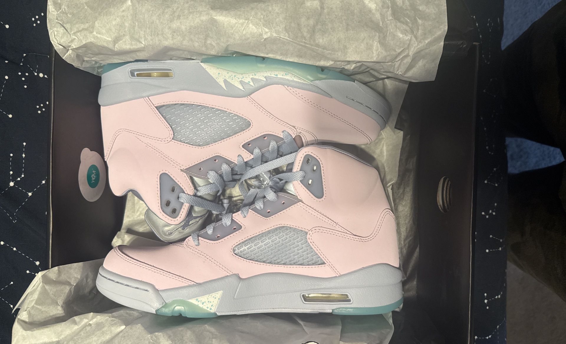 Men’s Air Jordan 5 Retro SE