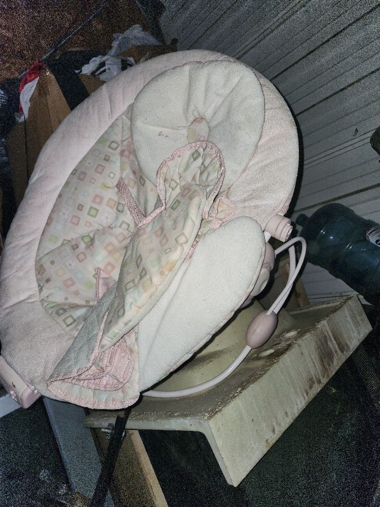Baby Bouncer