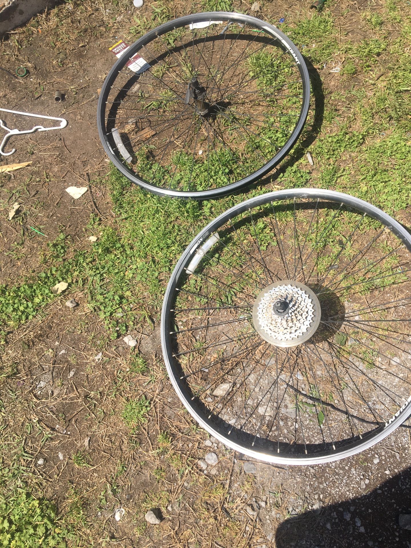 Road bike rims