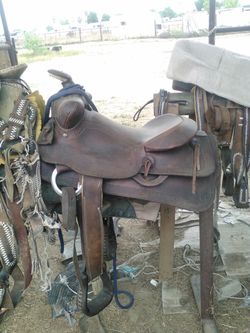 American saddle