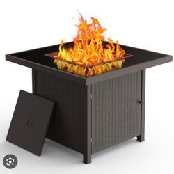 Brand New Fire Pit