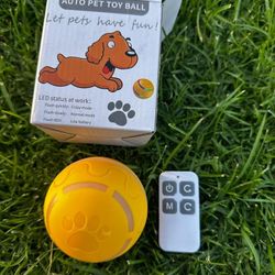 Dog Toy Ball w/ LED lights 