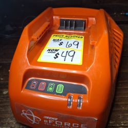 Echo Charger 56v