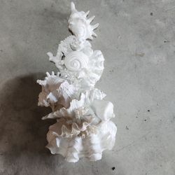 Seashells Wall Decor