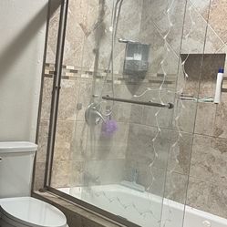 Shower Door 