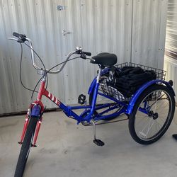 Adult Trike