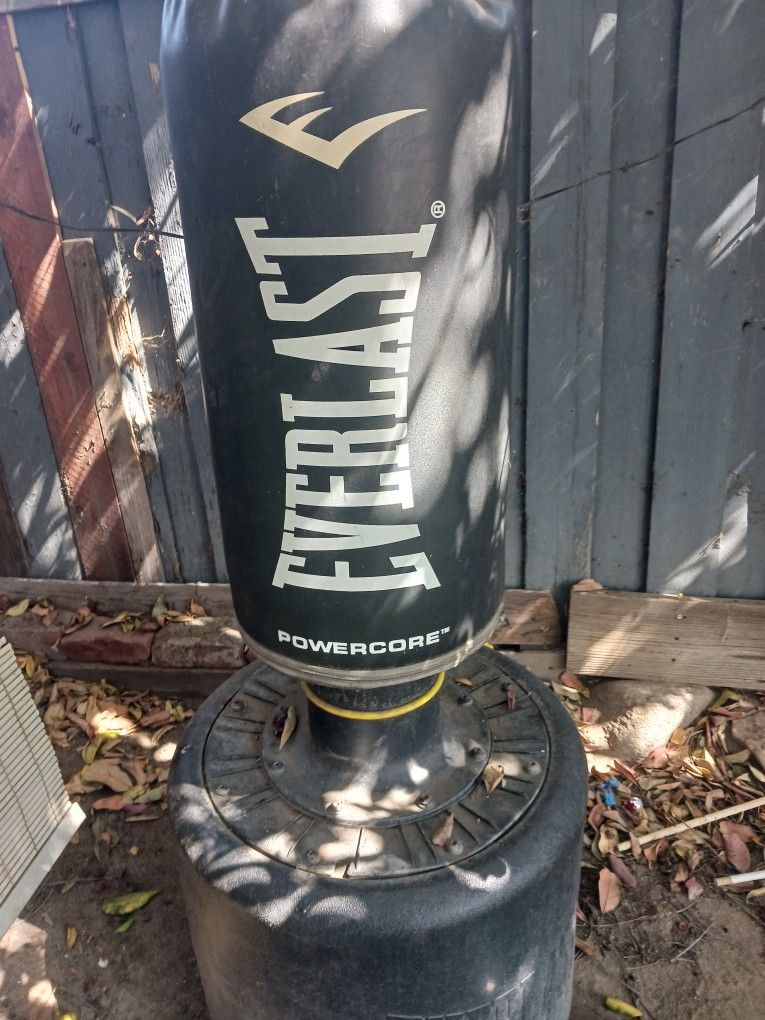 Punching Bag