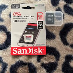 SanDisk MicroSD Card And Adapter