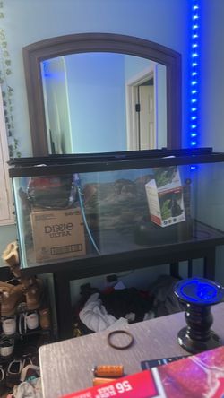 Reptile aquarium