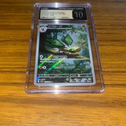 Vibraba Paradise dragona 