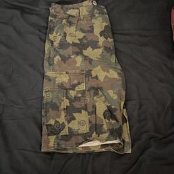 LRG Shorts Size34