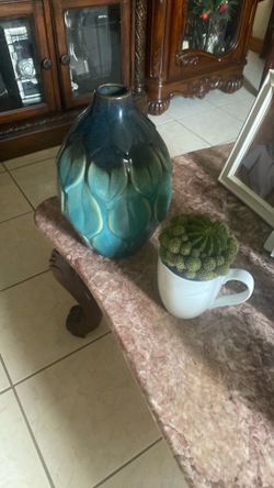 Vase o planta de cactus  $10.00 cada uno
