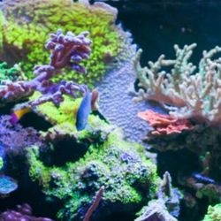 All Your Aquarium Needs 