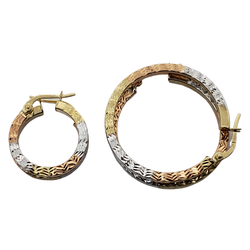 10K 3 Tone Yellow Gold Earring WE-003
