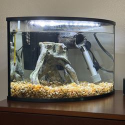 Beta Fish 6 Gallon Tank Starter Kit