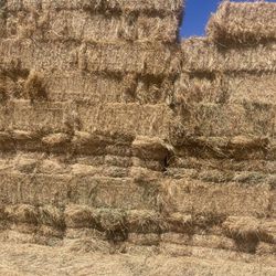 HAY FOR SALE