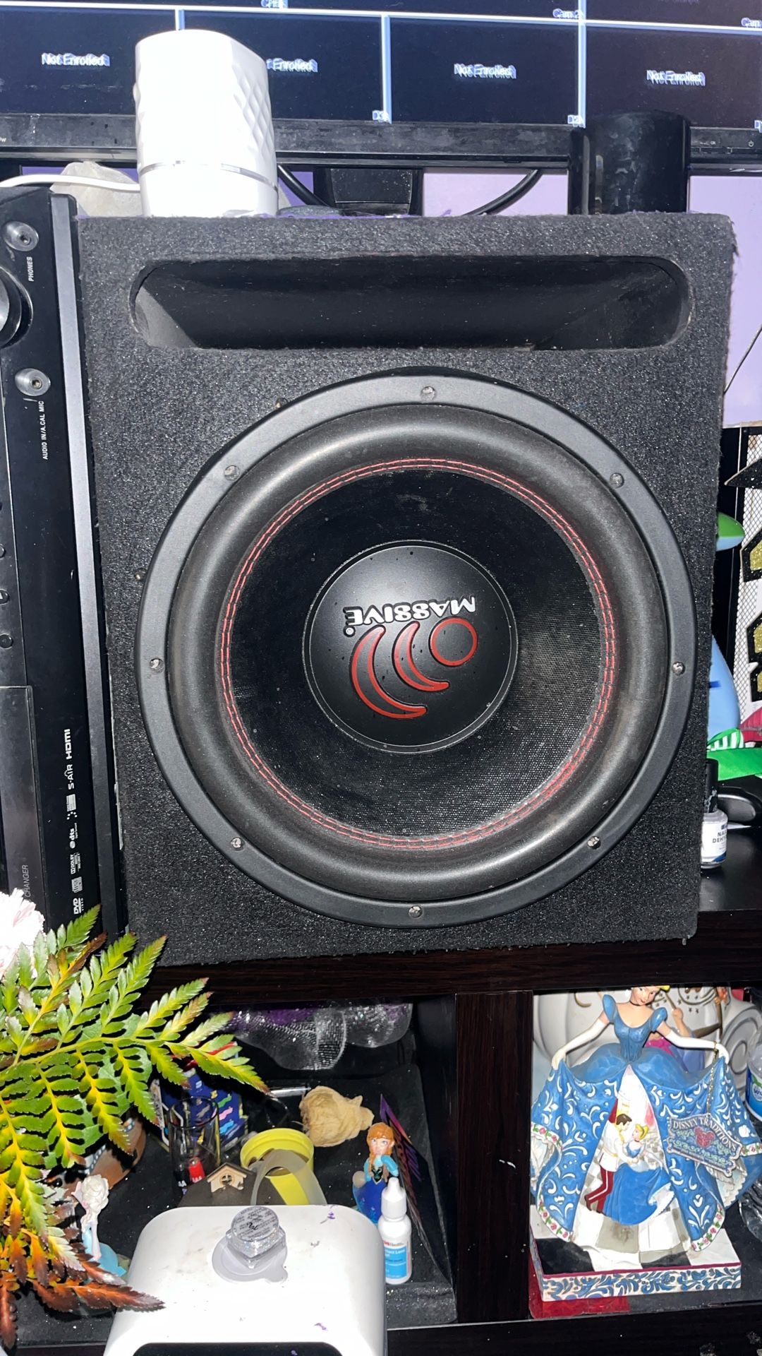 Maasive 12 inch 800 watts