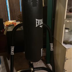 everlast punching bag and speed bag 